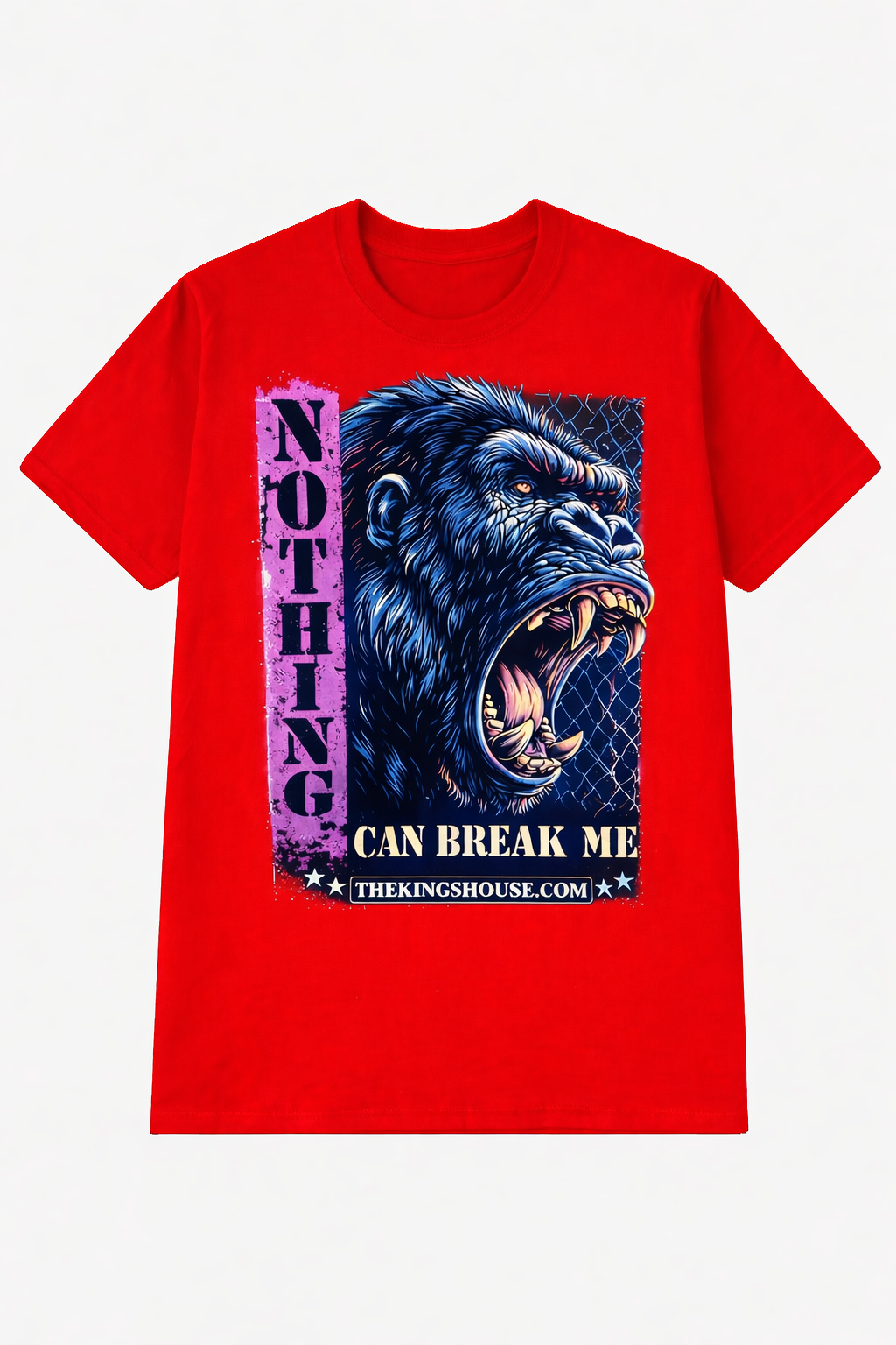 NOTHING CAN BREAK ME